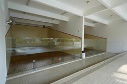 The Windsor (D20), Condominium #457750081